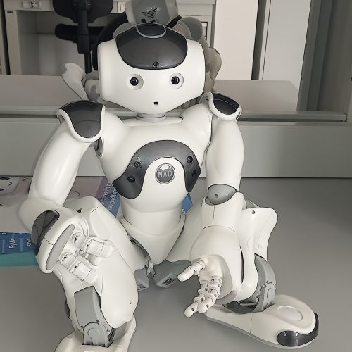 La robotica per l’autismo: un futuro ancora da scrivere, Irib Cnr Messina propone soluzioni per i robot del futuro﻿
